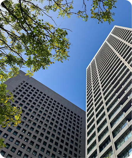 Green Building Compliance in Dallas, Simplified